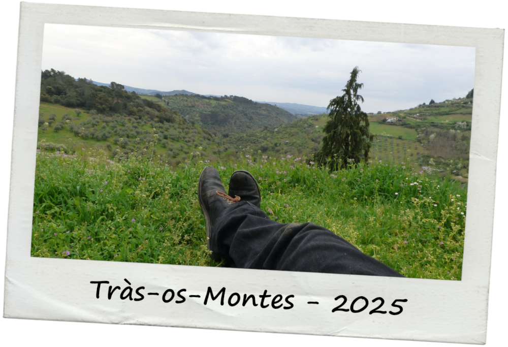 POrtugal, 2025